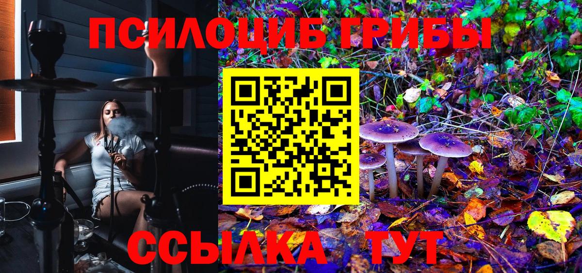Галлюциногенные грибы мицелий Малгобек